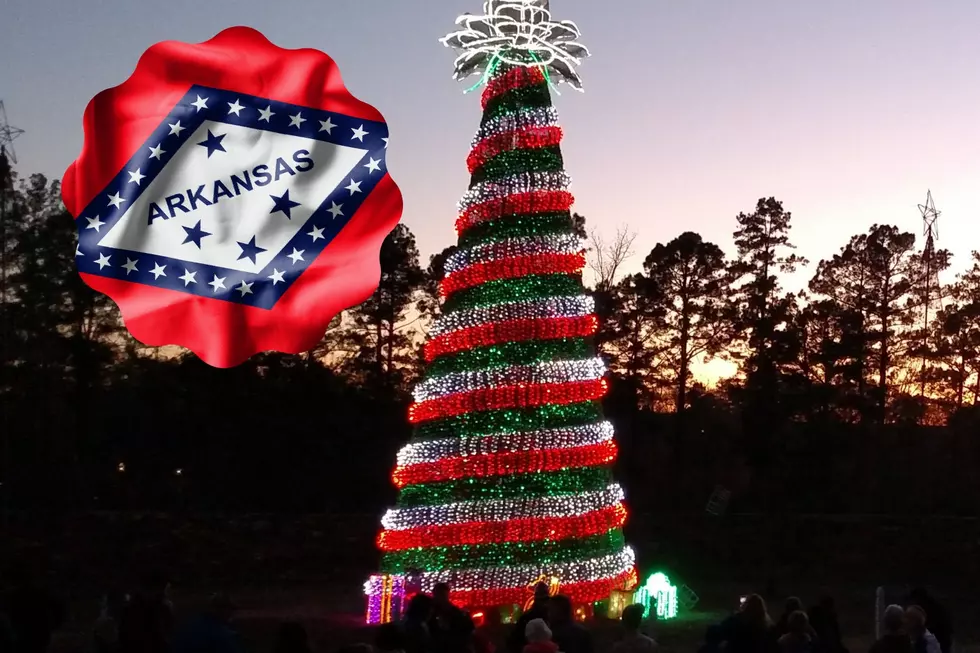 Worth the Drive to See 4 Million Dazzling Holiday Lights