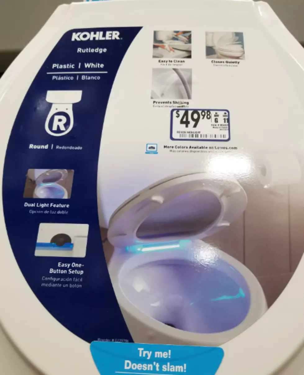 I Found The Perfect Toilet Seat!