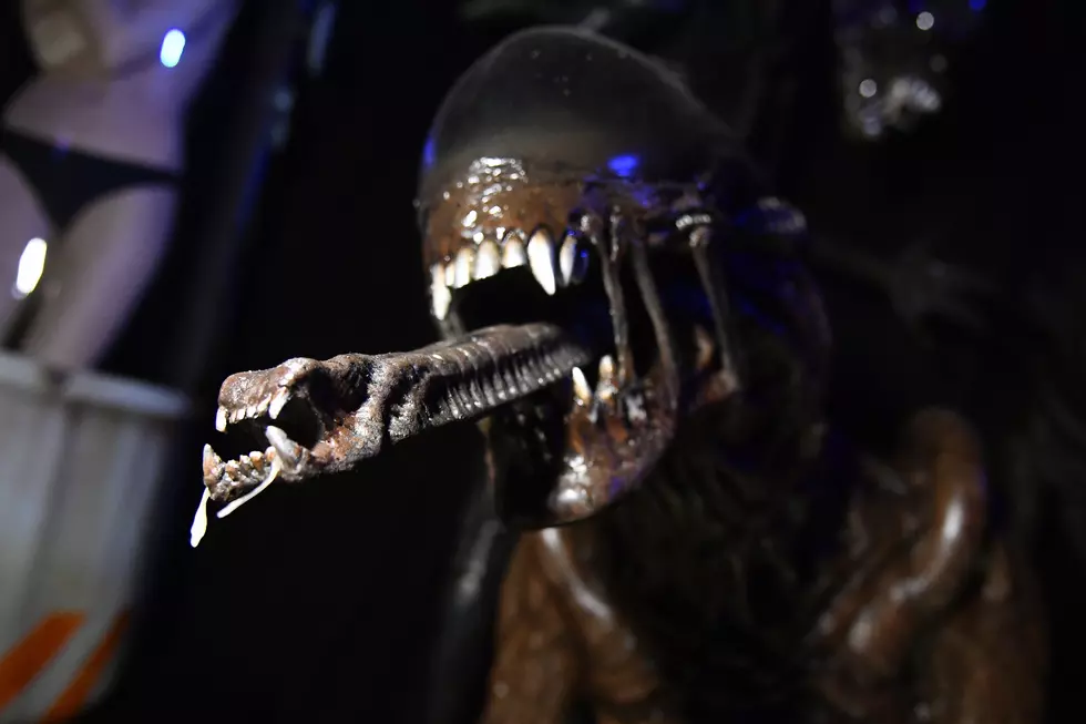 Get Paid $1,000 to Watch Horror Movies for 24-Hours