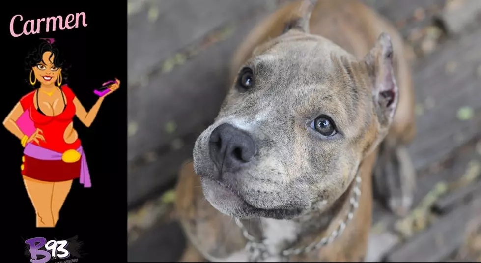 🎧Carmen Calls Guy About HIs Dog Barking Too Much