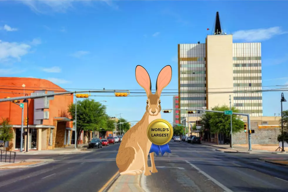 Ever Wondered What’s The Story Behind Odessa’s Jackrabbit Statue